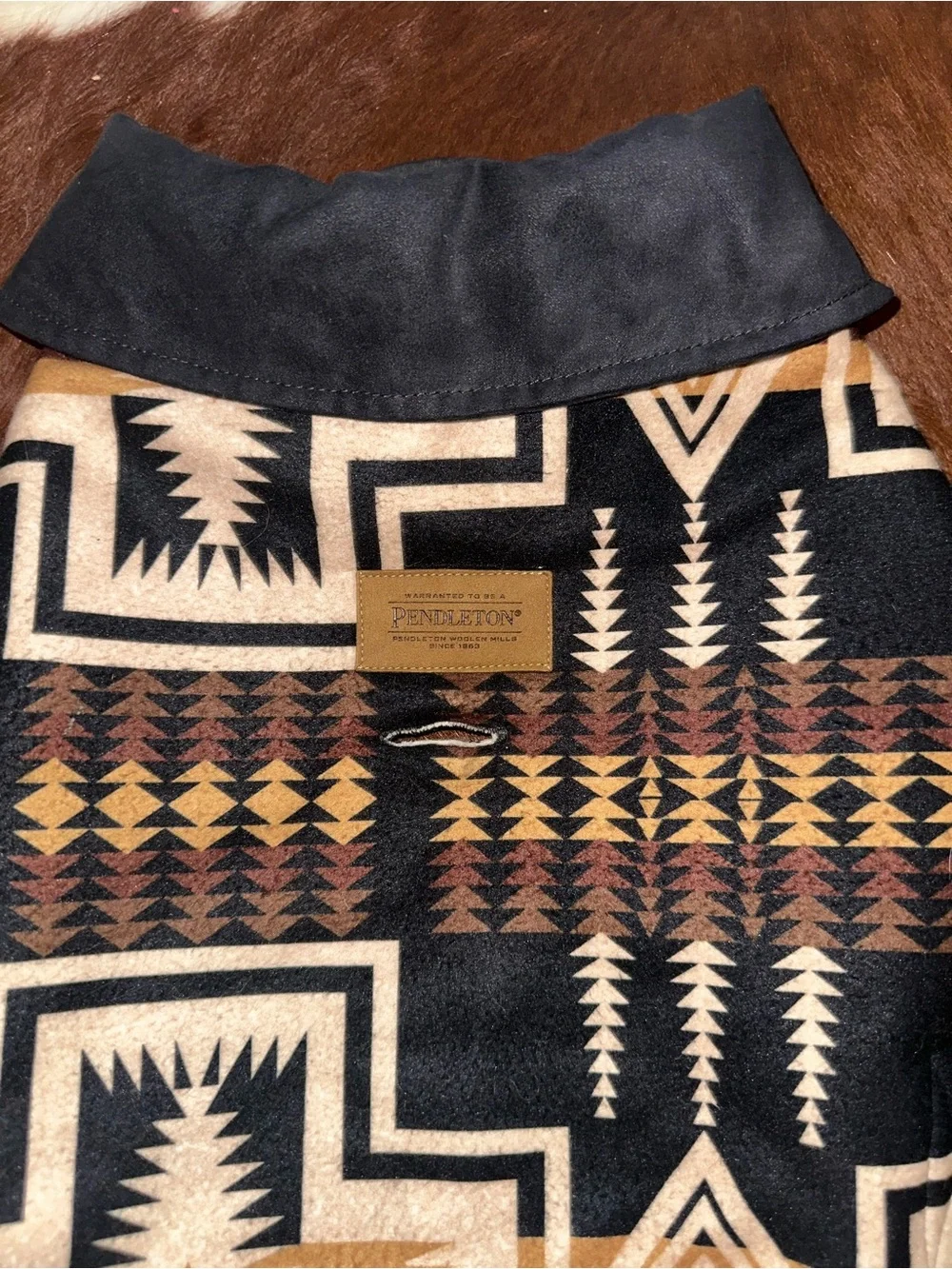 Pendleton dog coat